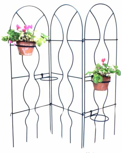 Wrought Iron Trellis and Plants Support
