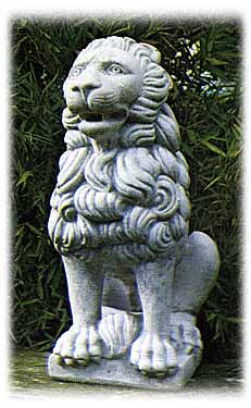 lions3.JPG (25549 bytes)