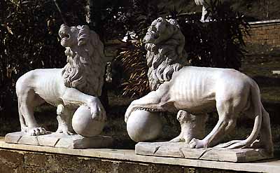 lions4.JPG (26790 bytes)