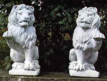 lions7.JPG (28596 bytes)