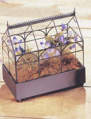 Terrariums