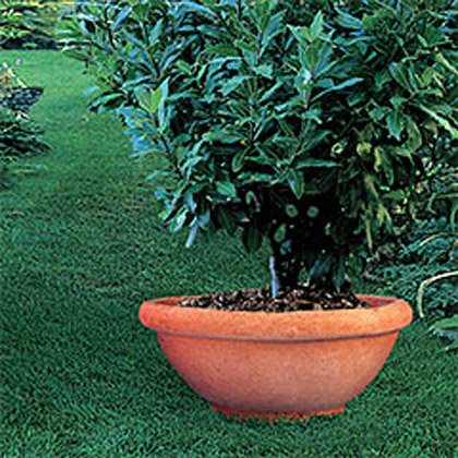 Italian Impruneta Terracotta