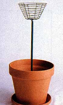 topiary2.JPG (14638 bytes)
